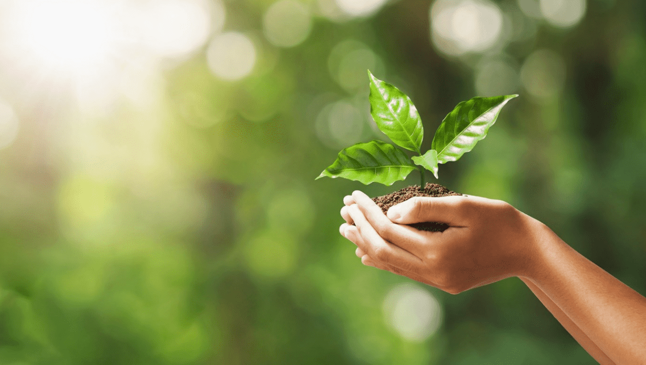 Top Sustainable Companies