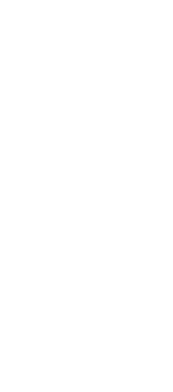 Revenue graph