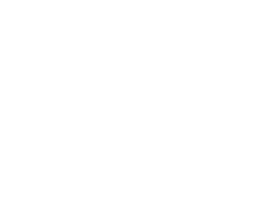 Revenue graph