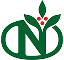 N Logo