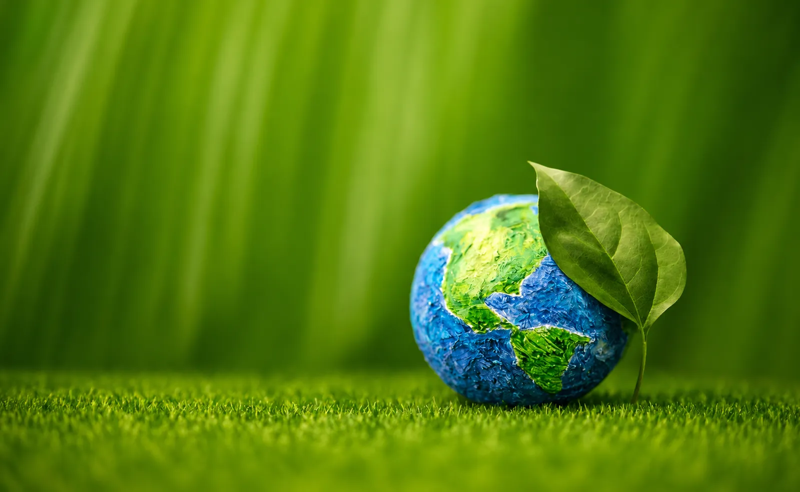 Business Responsibility and Sustainability Report - Earth and Leaf