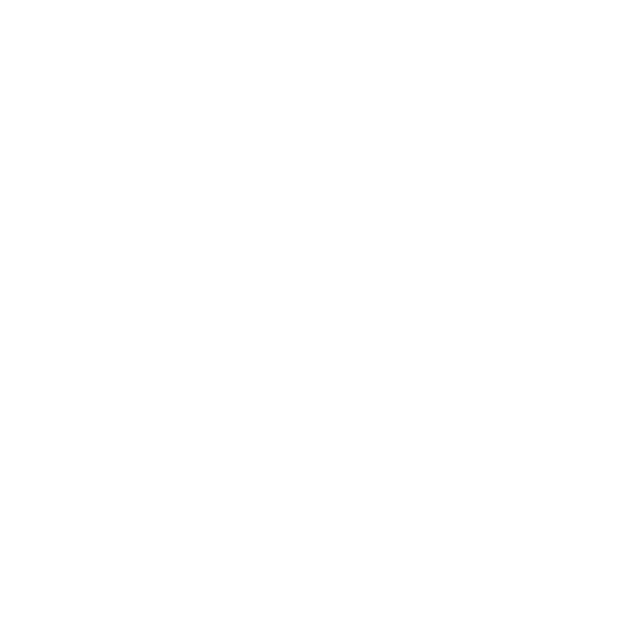 Corruption / conflicts of interest complaints against the Director / KMPs