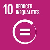 SDG 8