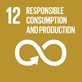 SDG 8