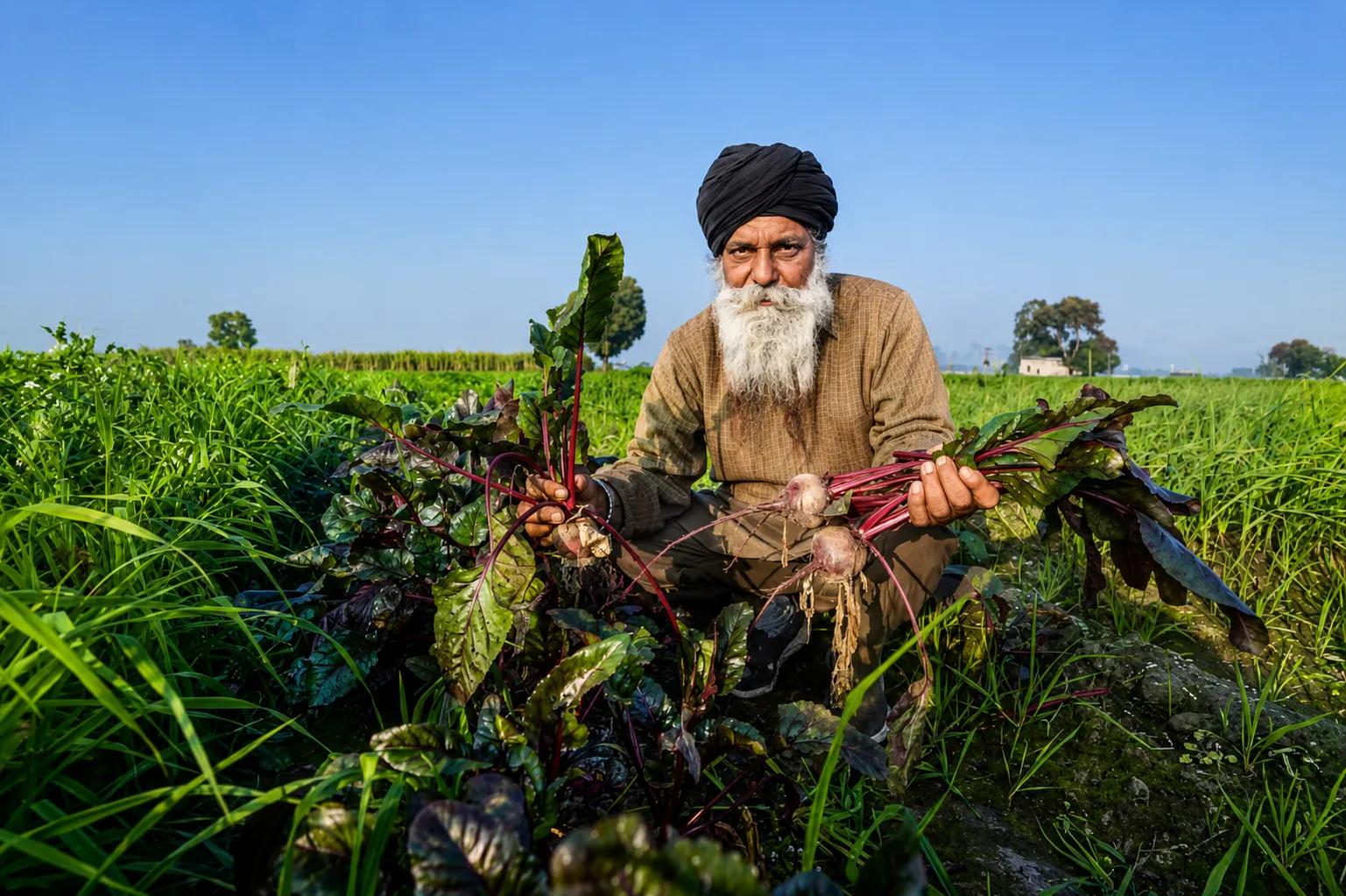 farmer
