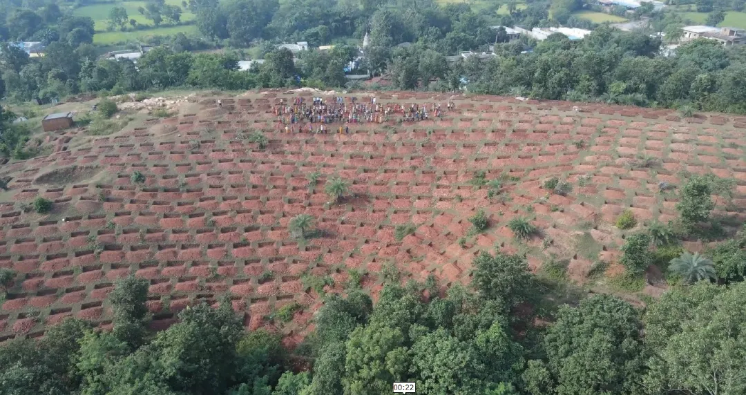 Aerial view of people working on terraced agricultural land
