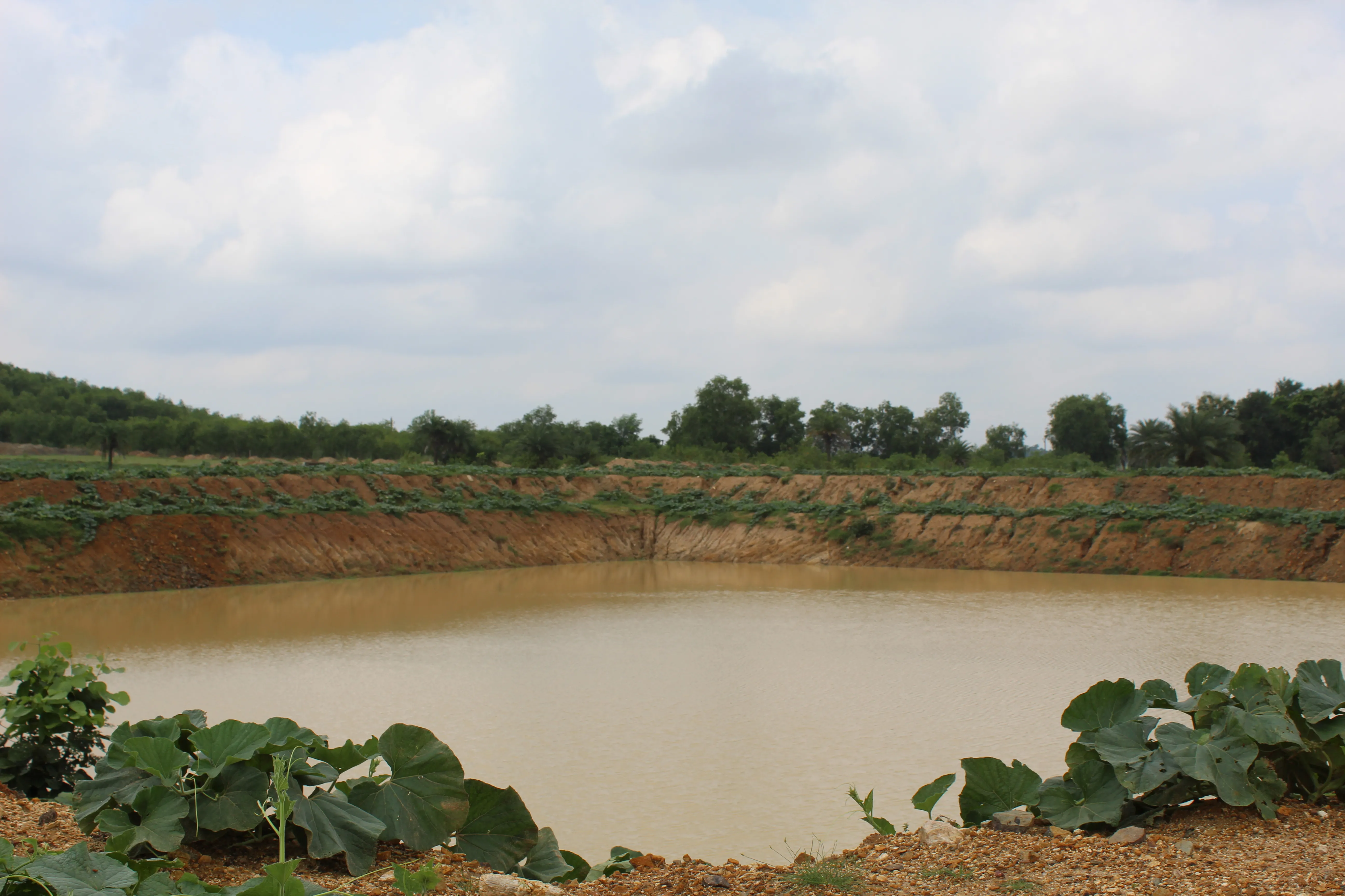 Large body of water surrounded by dirt banks and trees
