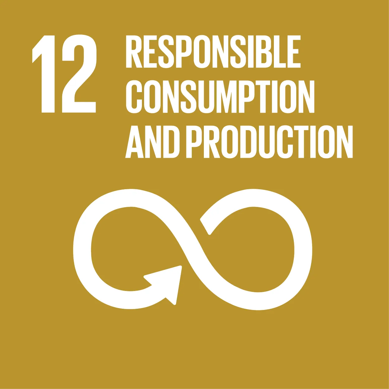 SDG 10