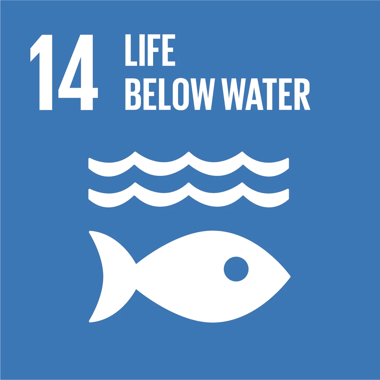 SDG 12