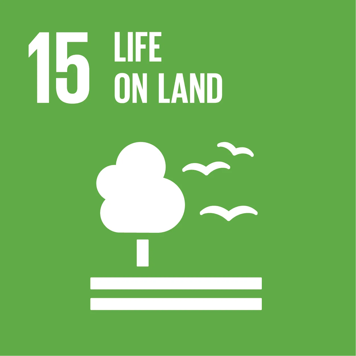 SDG 13