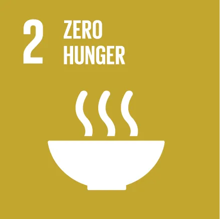 SDG 1